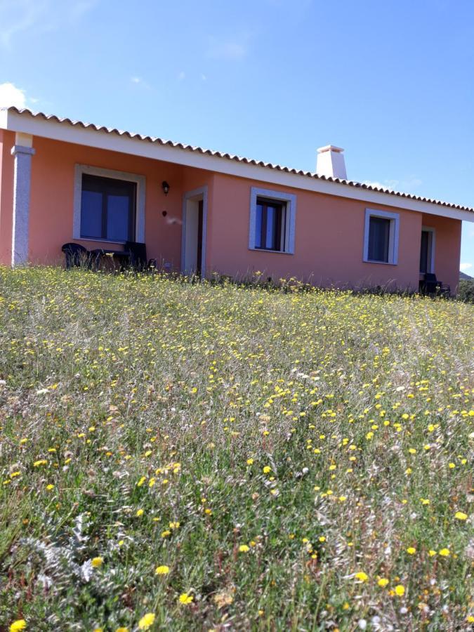 Agriturismo Gli Olivastri, Appartamento La Rosa Dei Venti Con Piscina E Solarium , Vista Mare ,Climatizzatore ,Wifi Aglientu Exterior foto