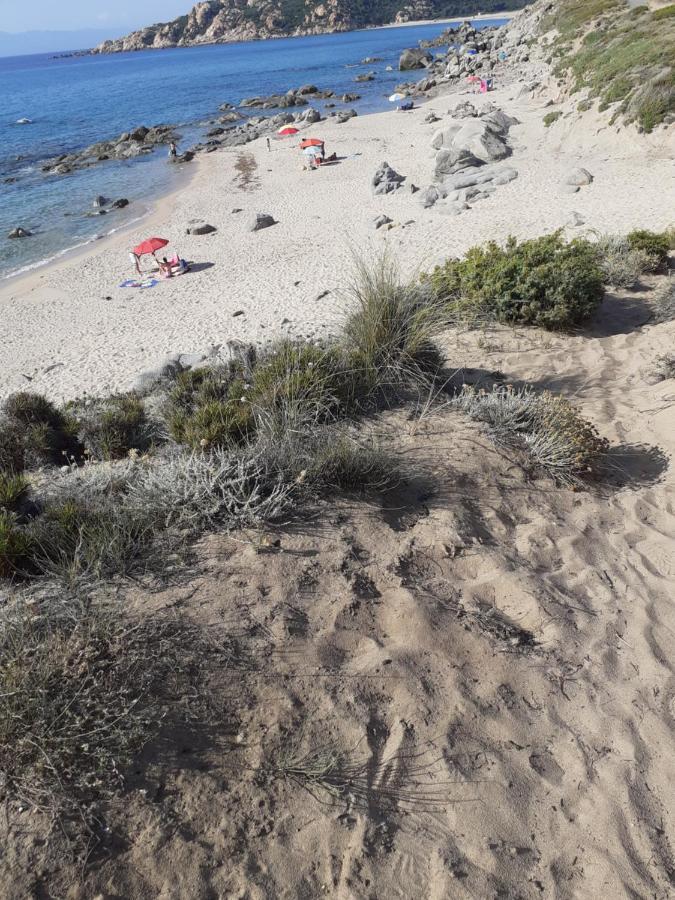 Agriturismo Gli Olivastri, Appartamento La Rosa Dei Venti Con Piscina E Solarium , Vista Mare ,Climatizzatore ,Wifi Aglientu Exterior foto