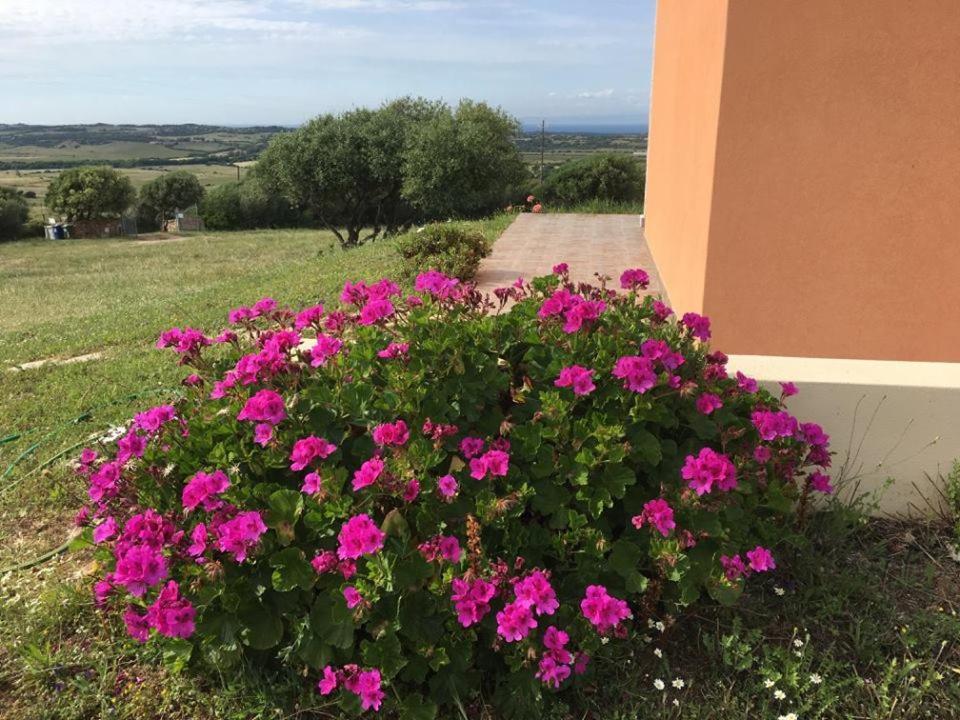 Agriturismo Gli Olivastri, Appartamento La Rosa Dei Venti Con Piscina E Solarium , Vista Mare ,Climatizzatore ,Wifi Aglientu Exterior foto