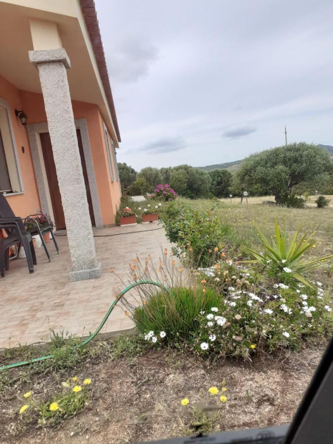 Agriturismo Gli Olivastri, Appartamento La Rosa Dei Venti Con Piscina E Solarium , Vista Mare ,Climatizzatore ,Wifi Aglientu Exterior foto