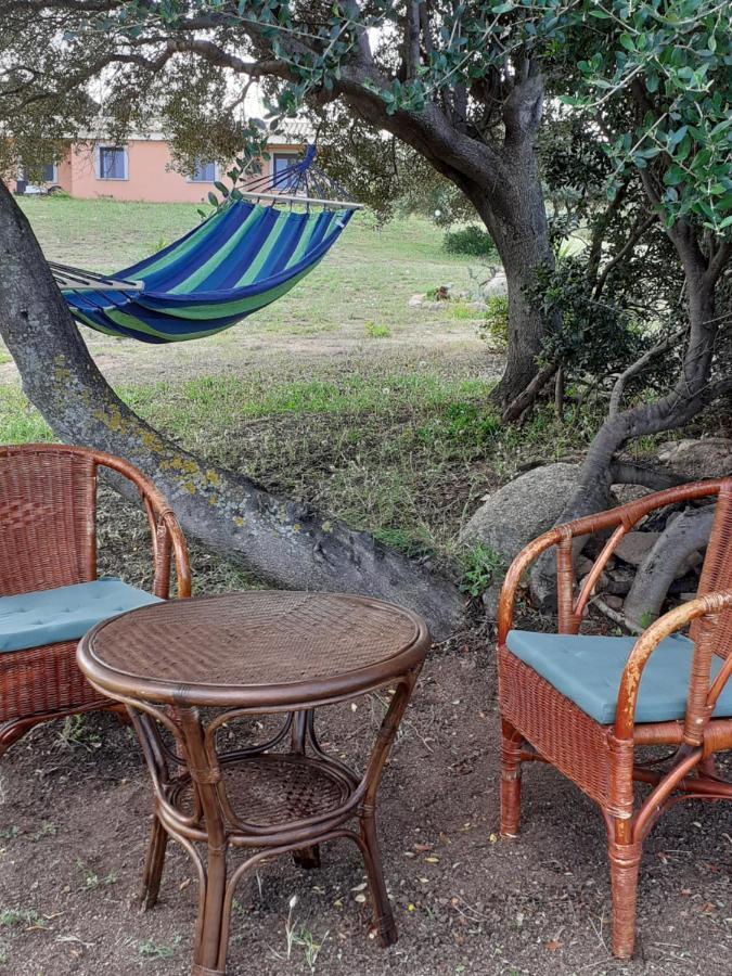 Agriturismo Gli Olivastri, Appartamento La Rosa Dei Venti Con Piscina E Solarium , Vista Mare ,Climatizzatore ,Wifi Aglientu Exterior foto